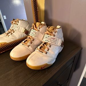 Nike Lebron V size 14